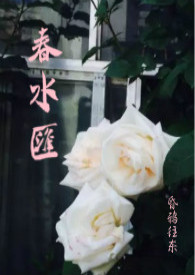 纽约客故事集